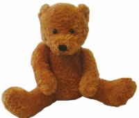 Funky Bear Cinnamon - Personalized Teddy Bear with Hoodie